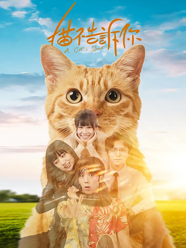 猫不告诉你