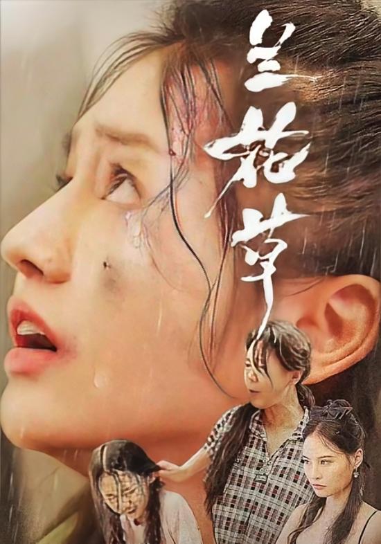 兰花草