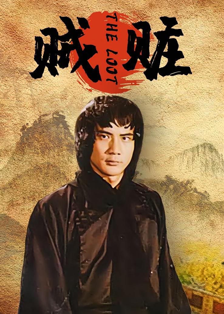 贼赃