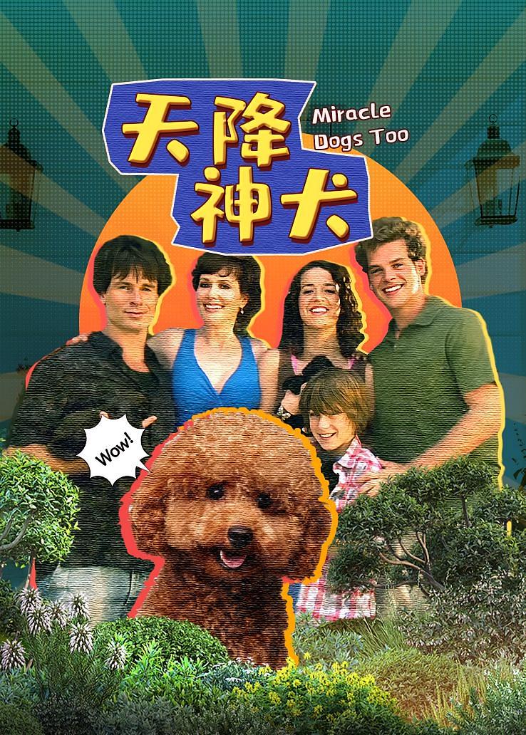 天降神犬2