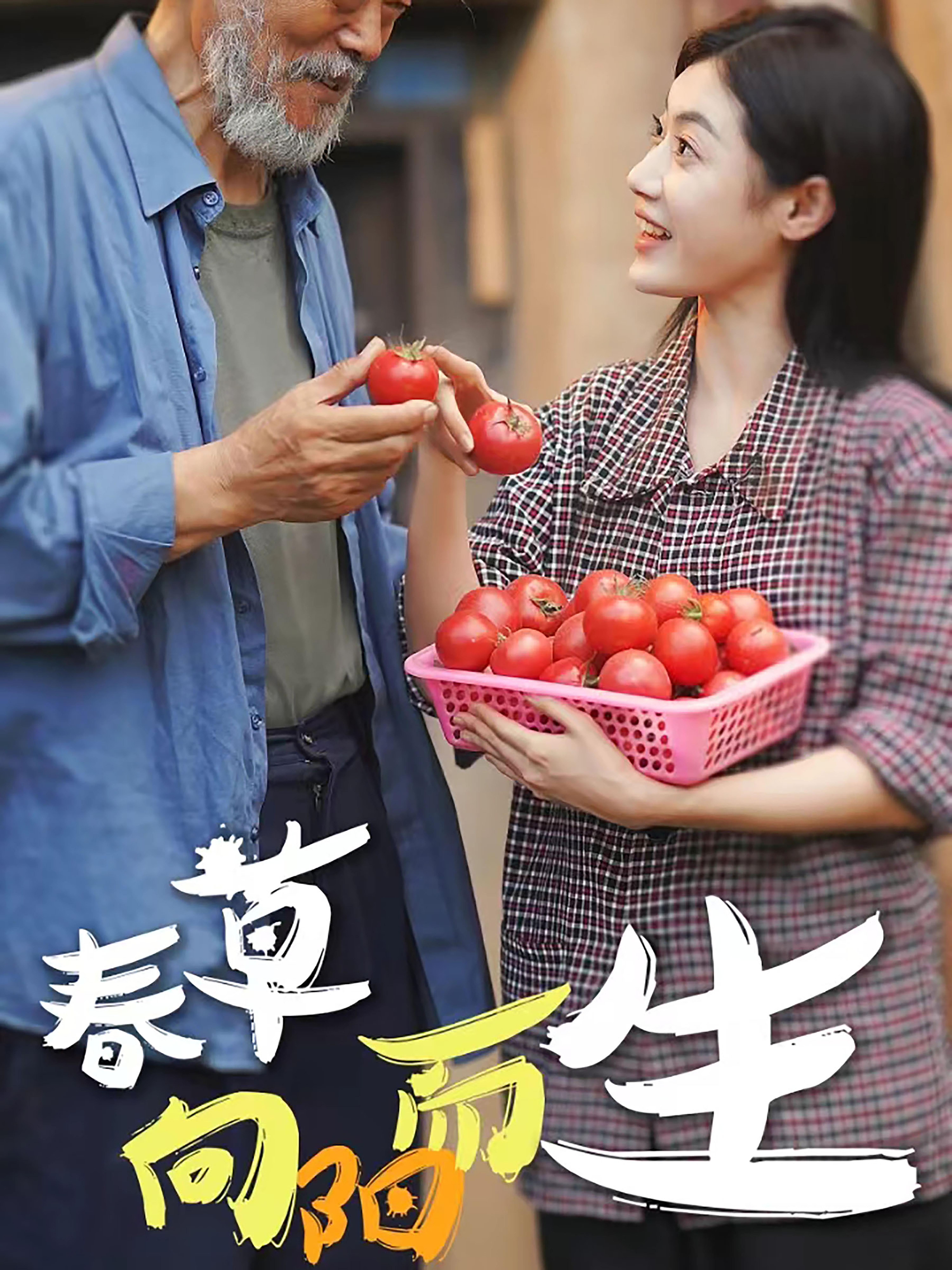 春草向阳而生