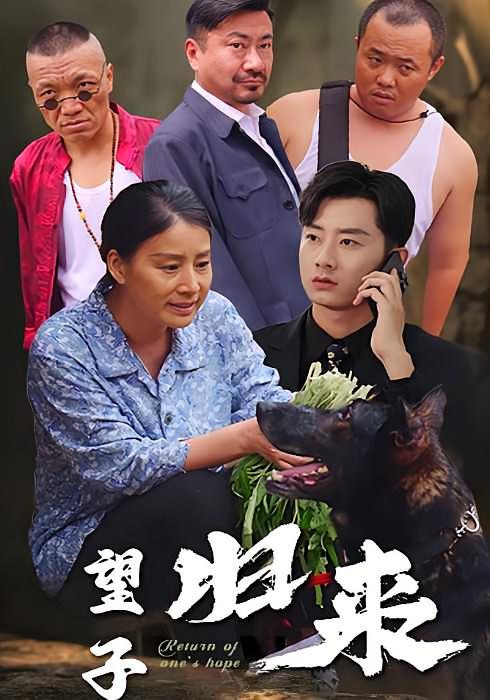 望子归来