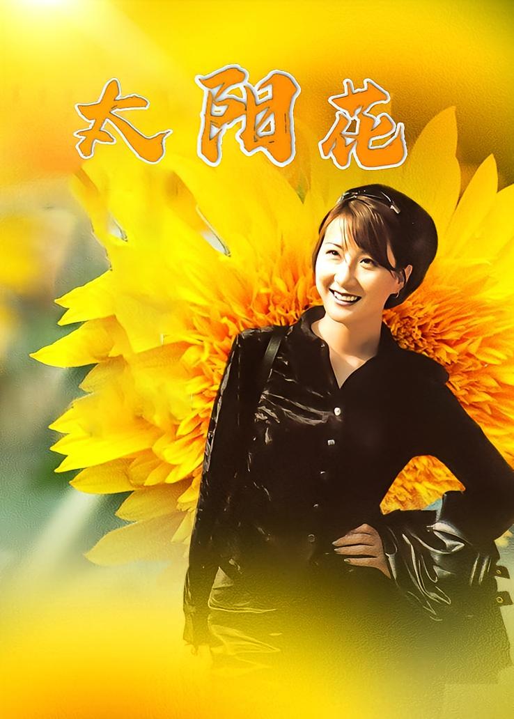 太阳花