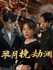 孕月挽劫澜