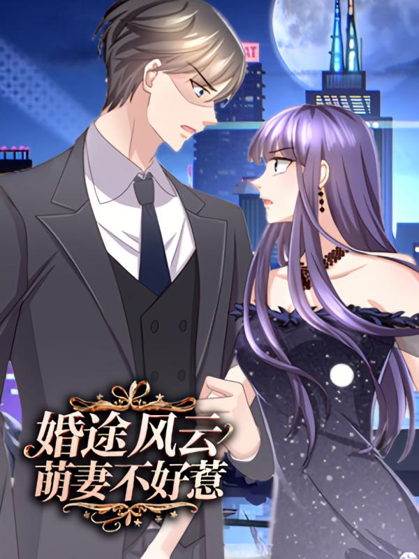 婚途风云之萌妻不好惹