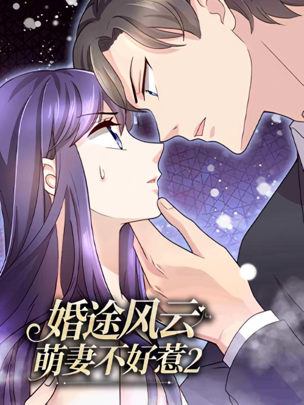 婚途风云之萌妻不好惹2