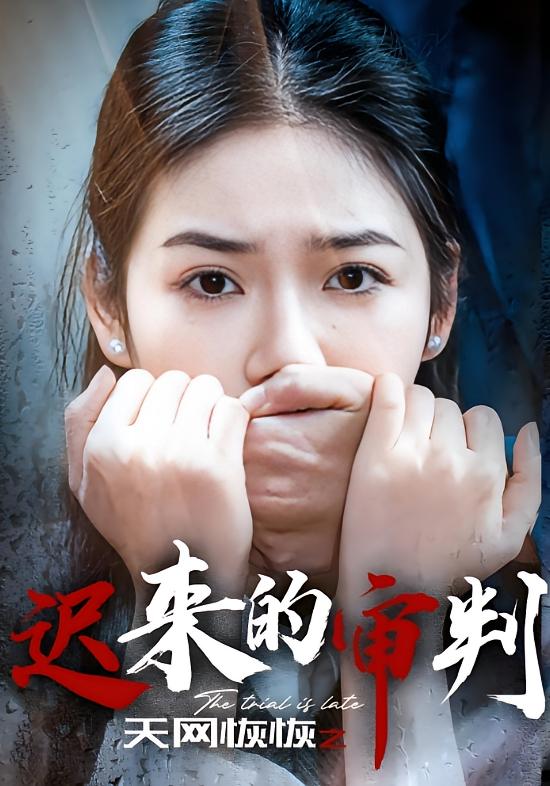 天网恢恢之迟来的审判