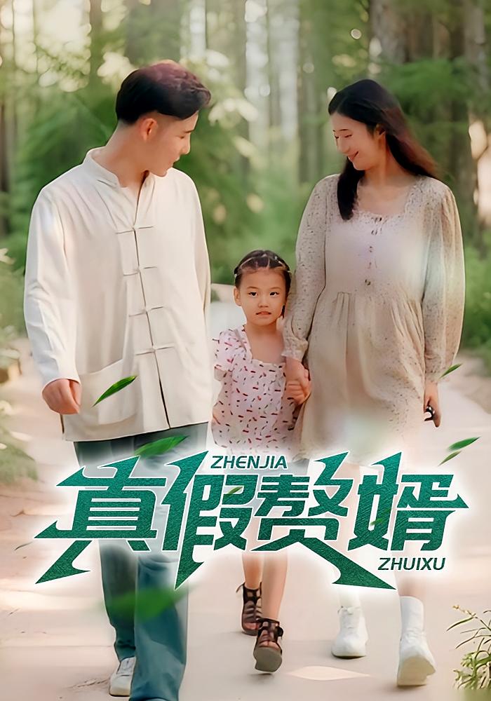 真假赘婿