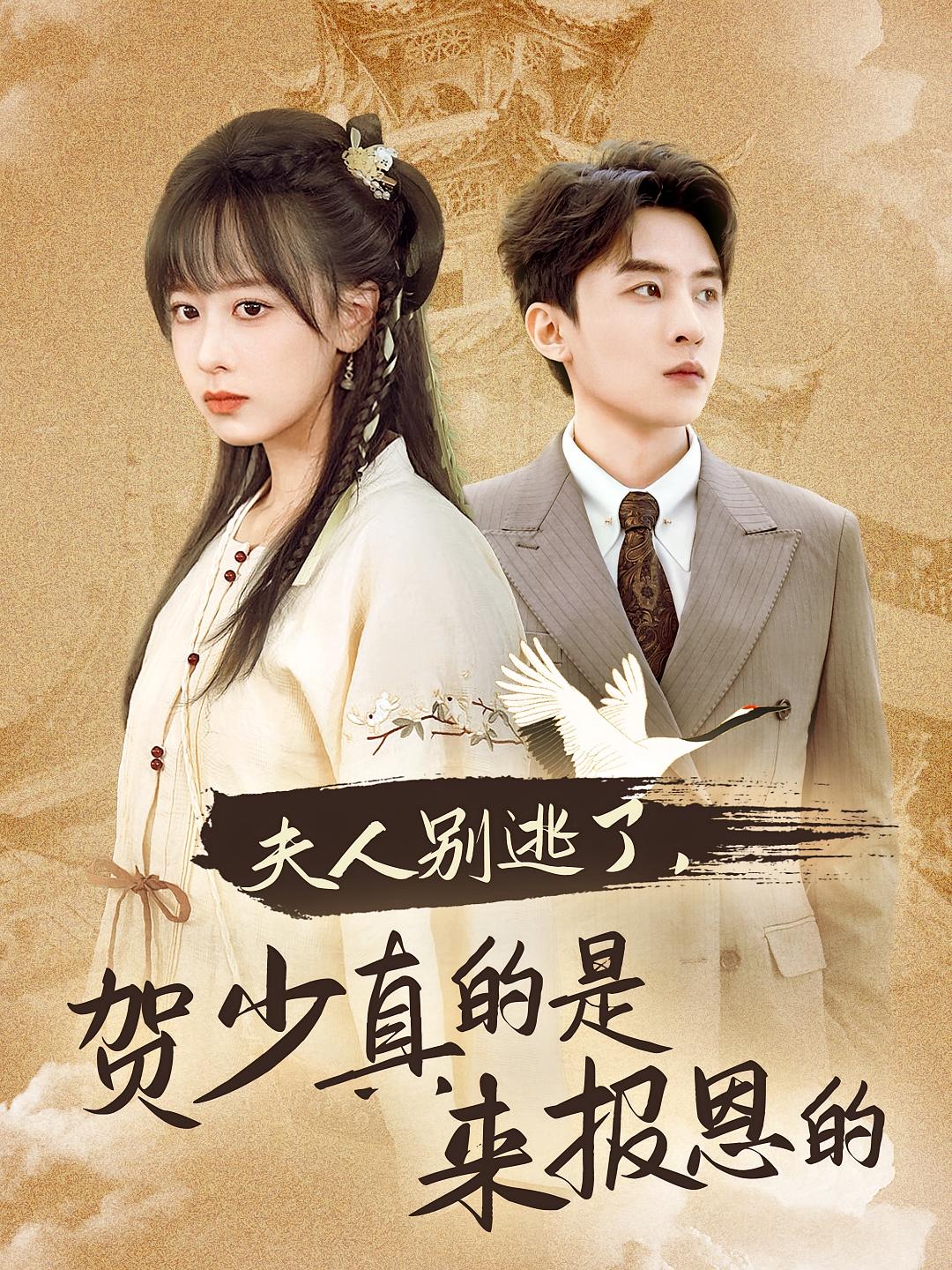夫人别逃了，贺少真的是来报恩的