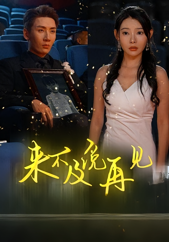 来不及说再见