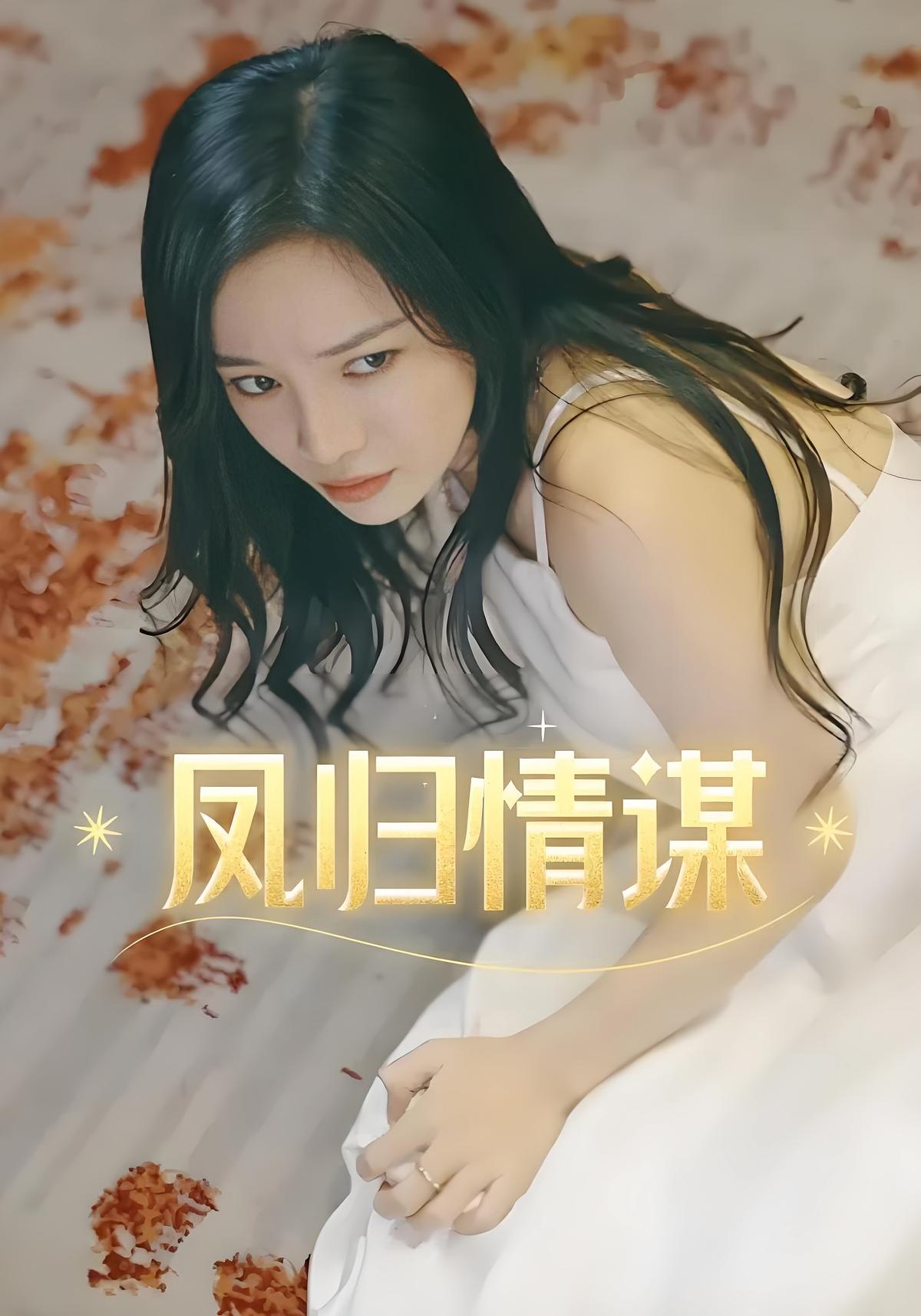 凤归情谋