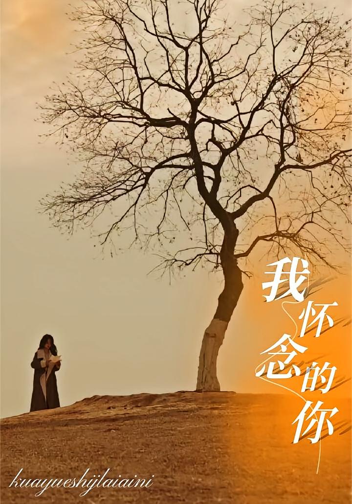 我怀念的你