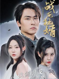 战龙狂婿