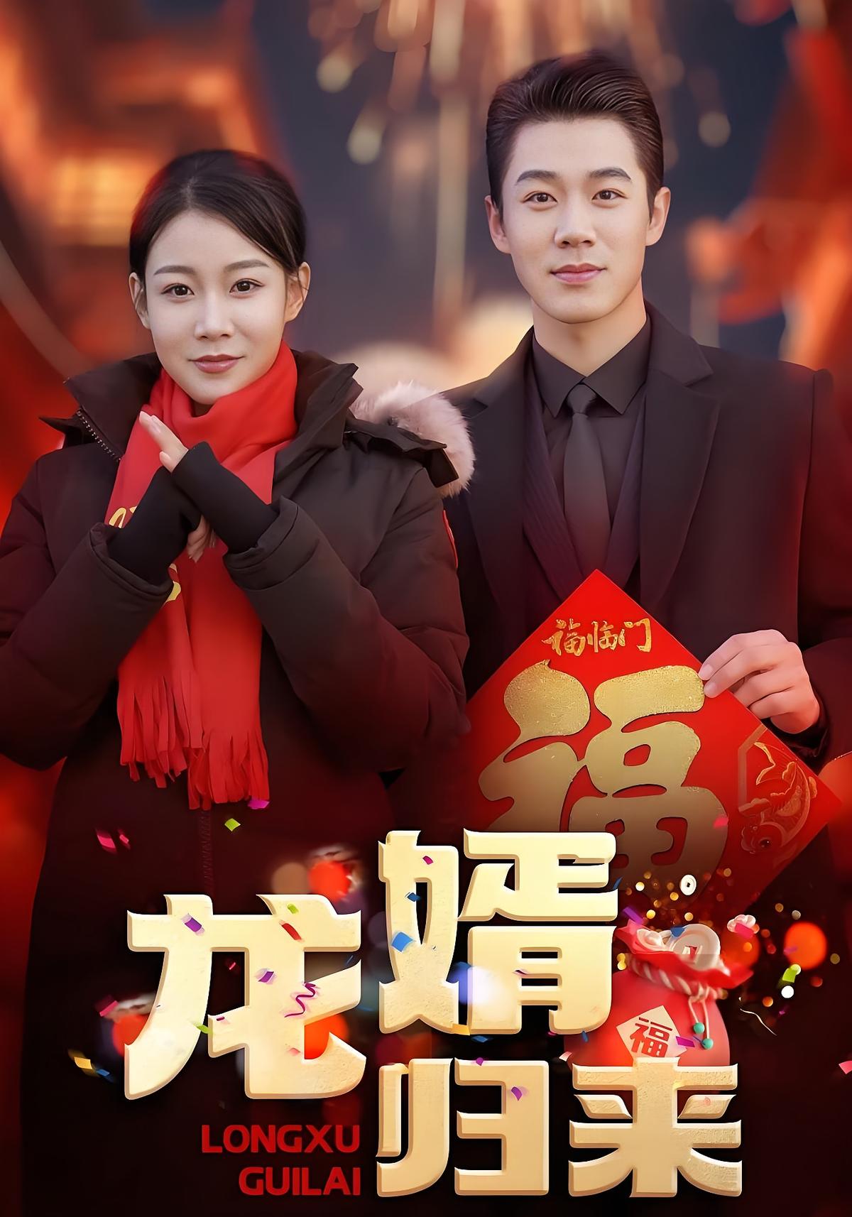 龙婿归来