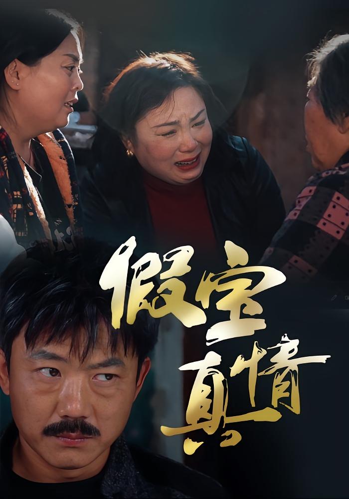 假宝真情