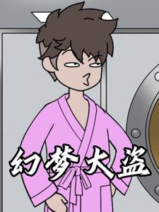 幻梦大盗
