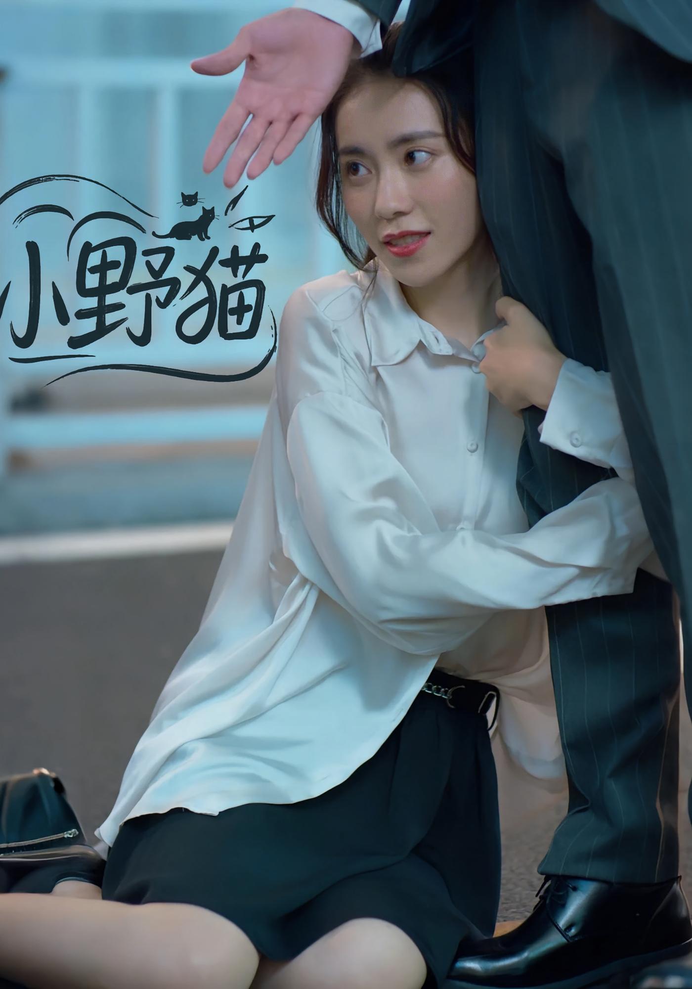小野猫
