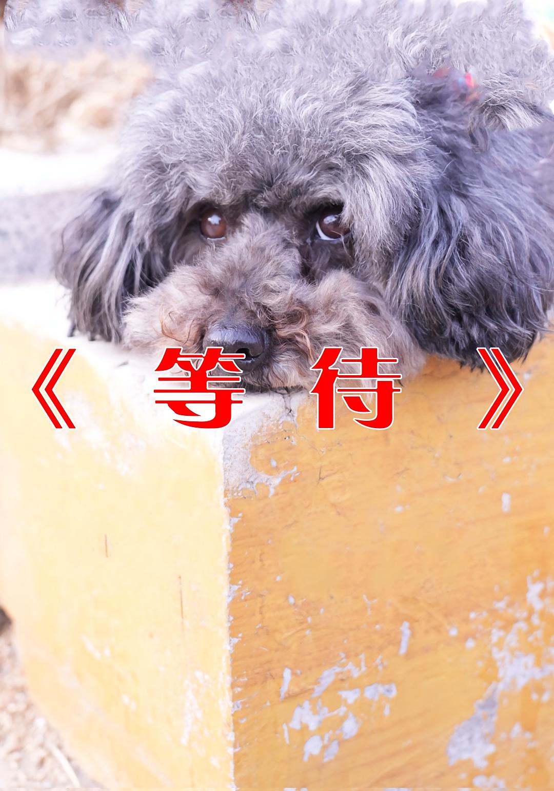 等待