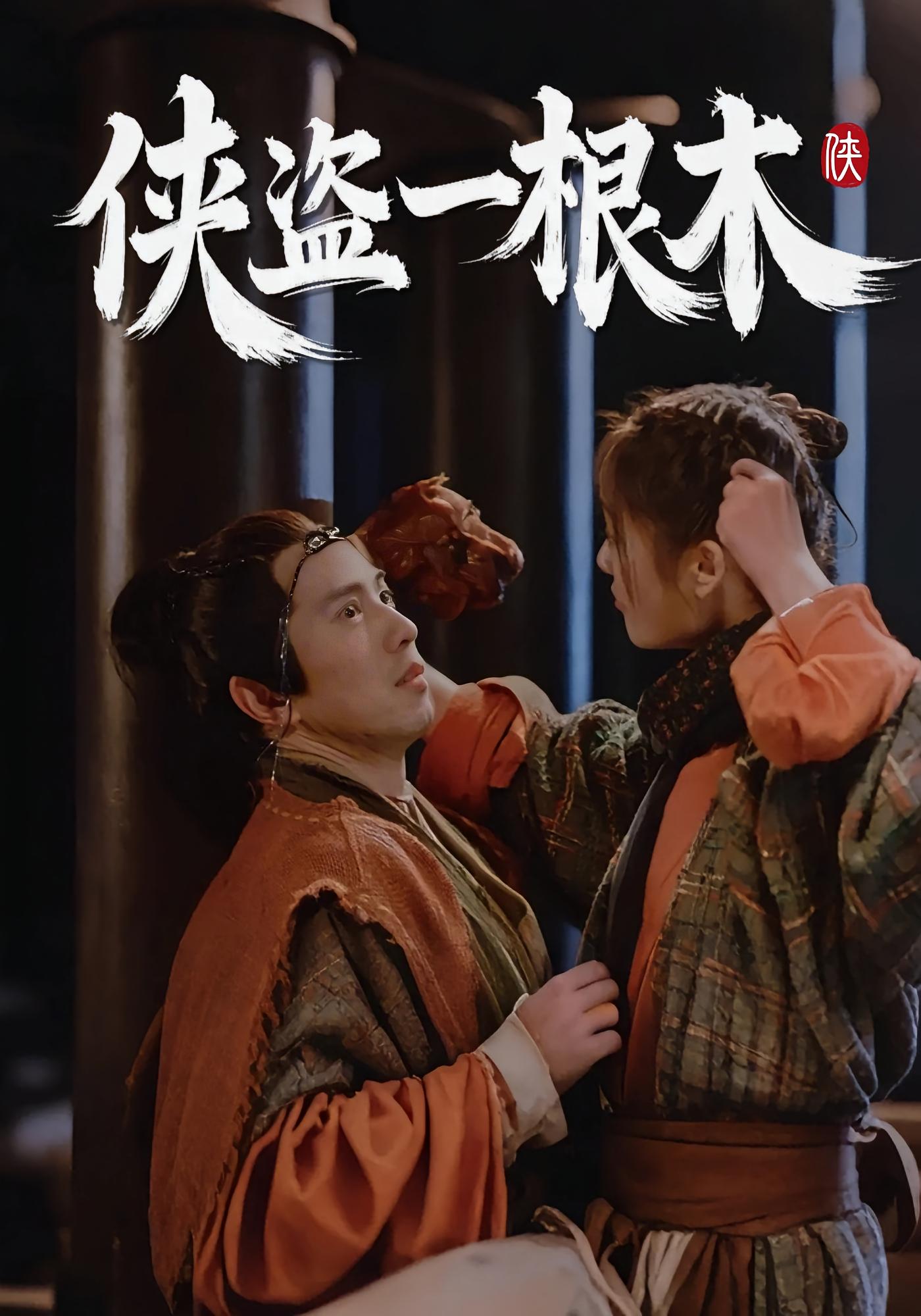 侠盗一根木