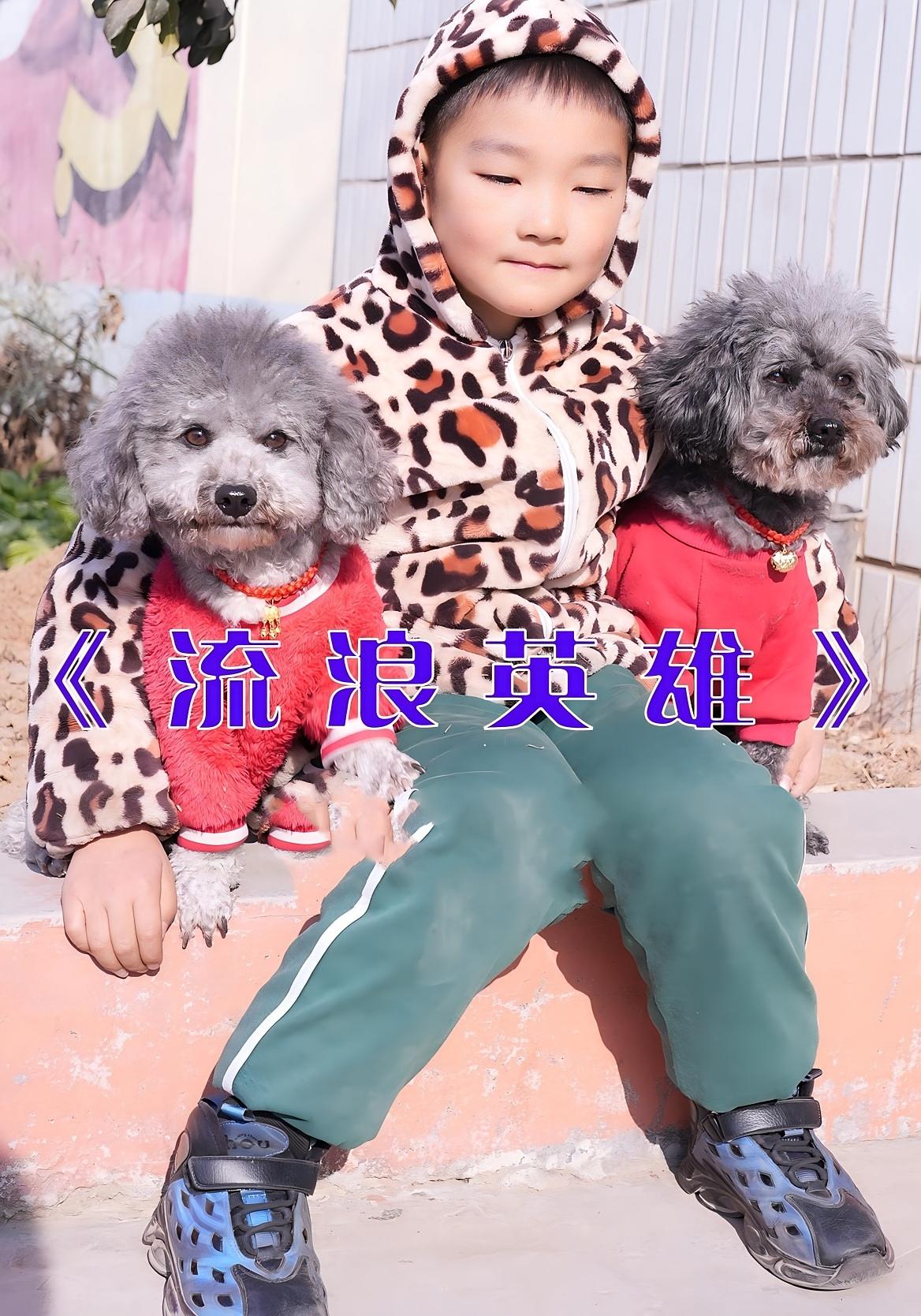 流浪英雄