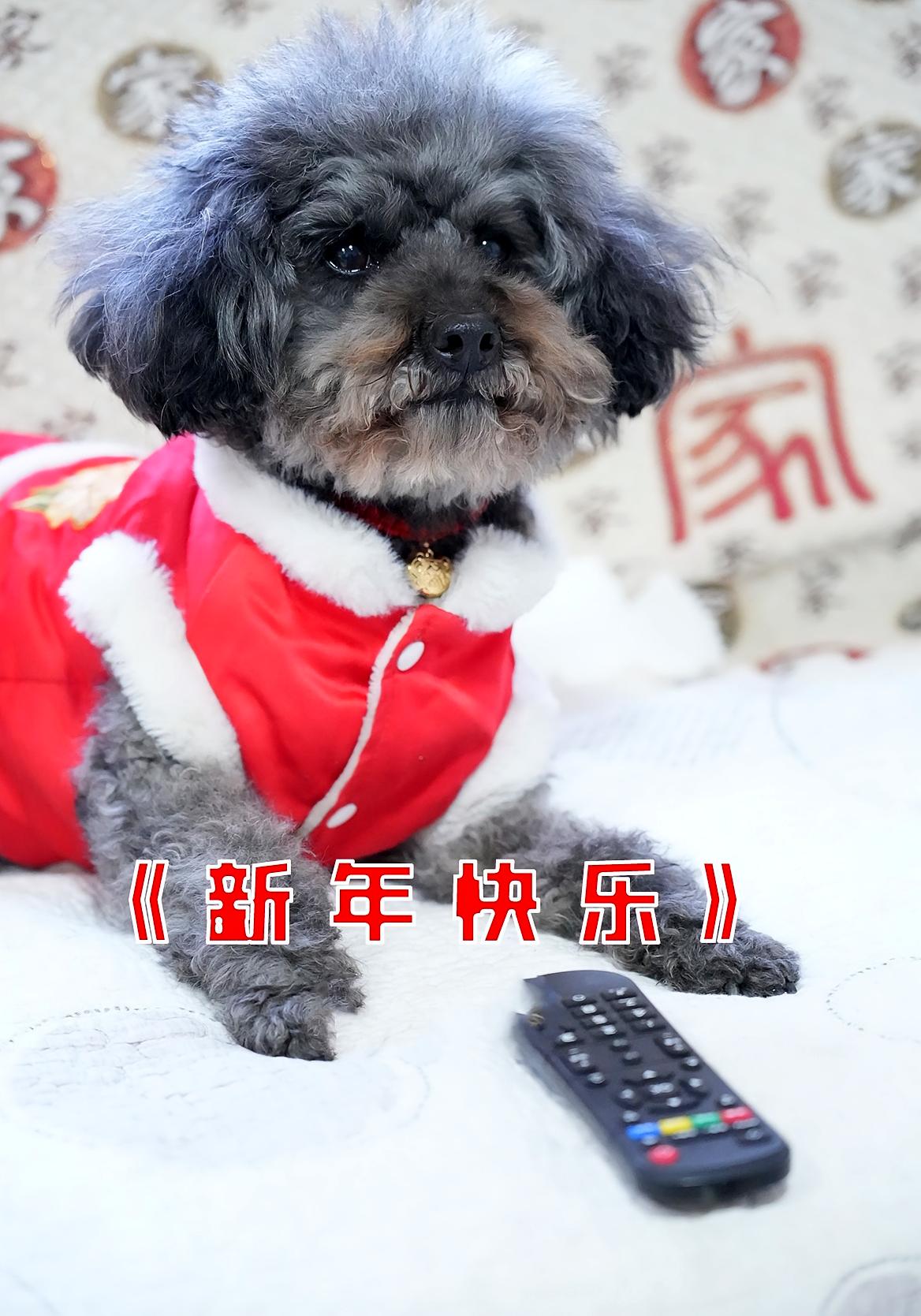 新年快乐