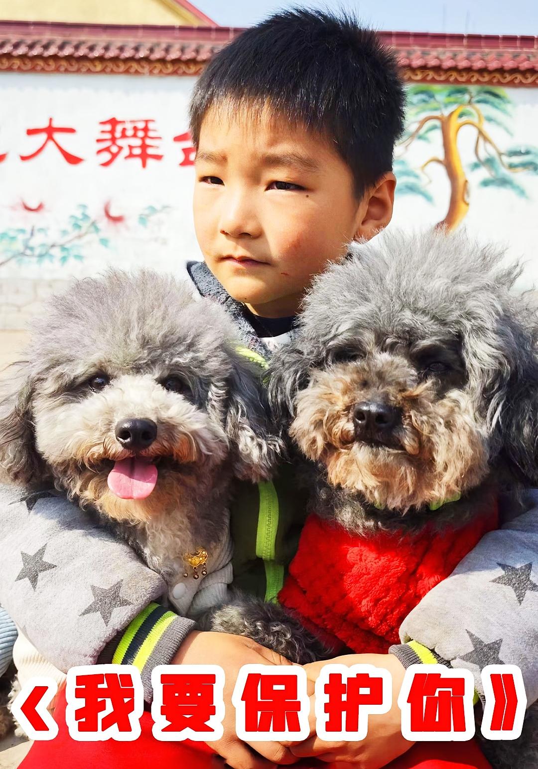 我要保护你