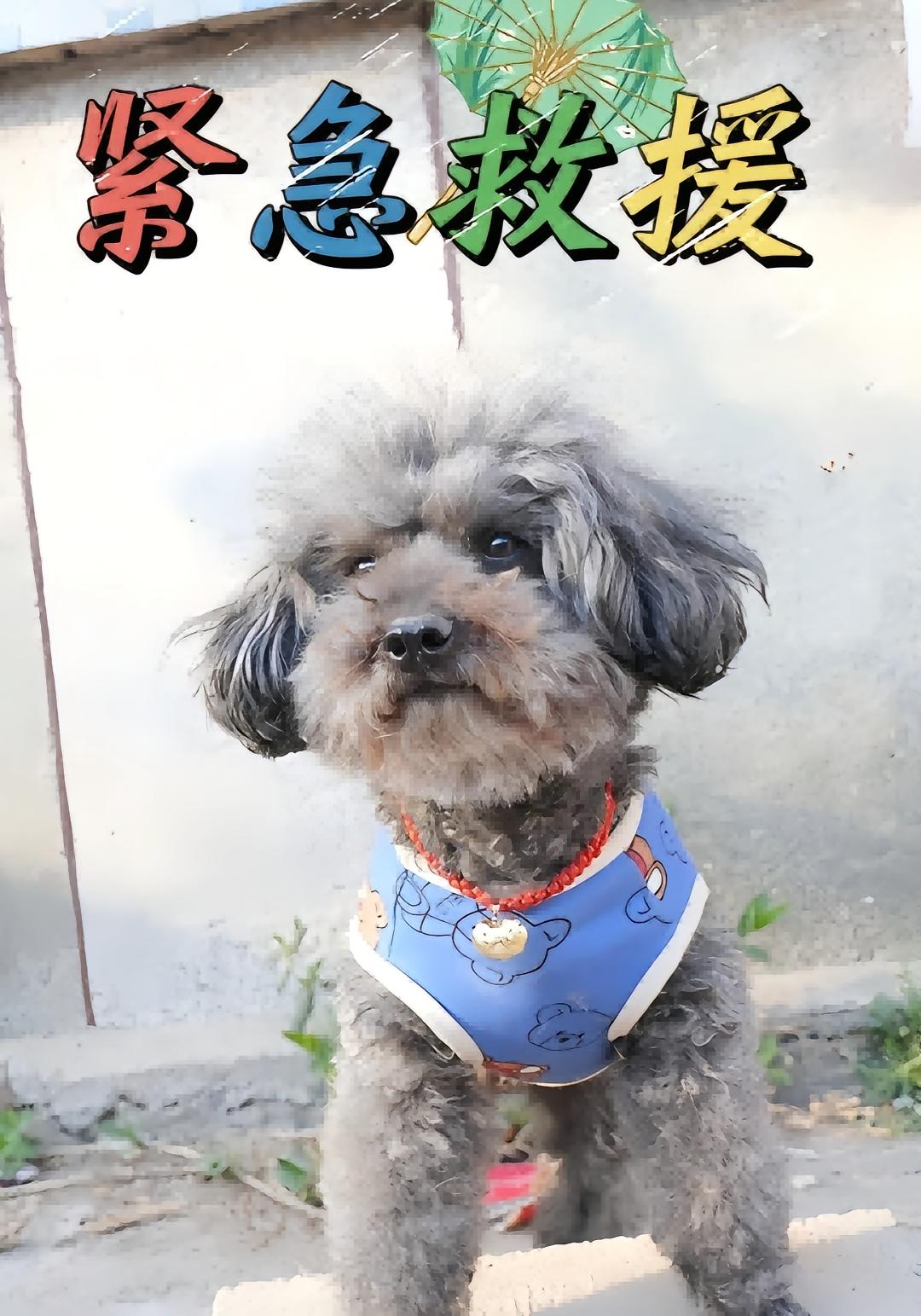 紧急救援