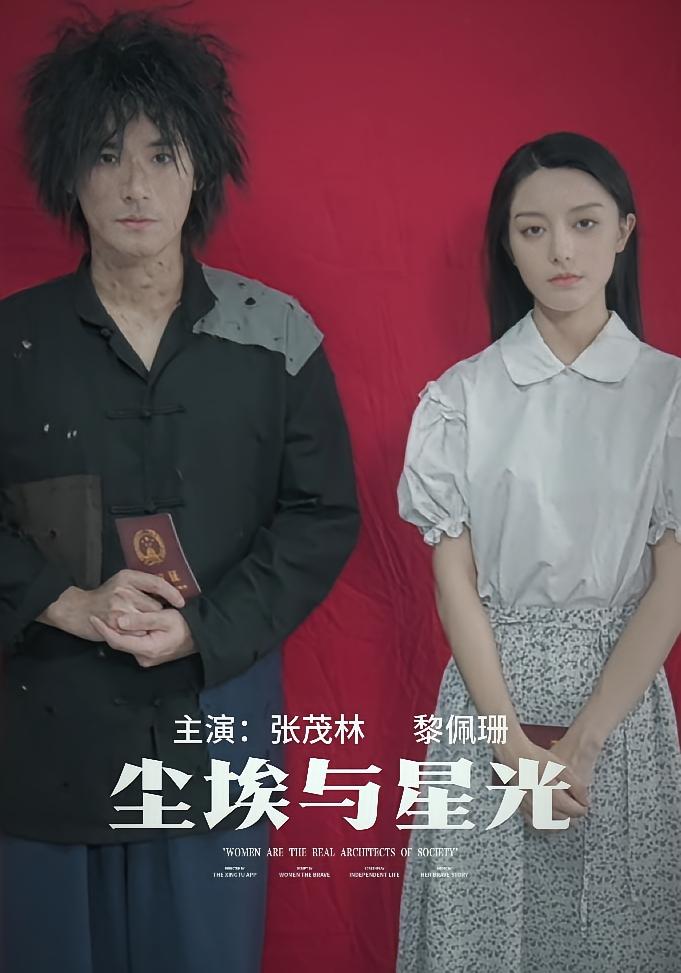 尘埃与星光