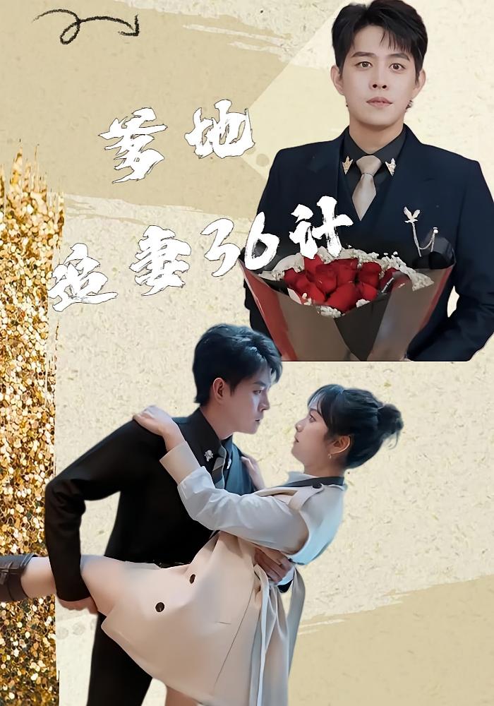 爹地追妻36计