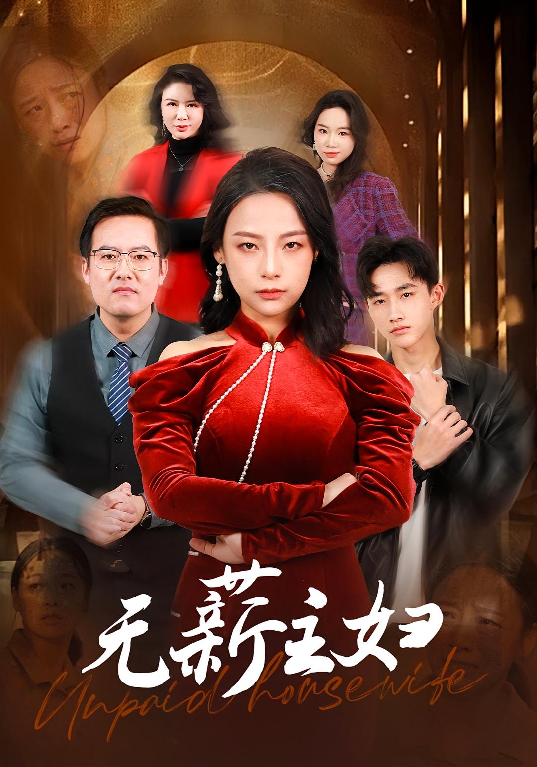 无薪主妇