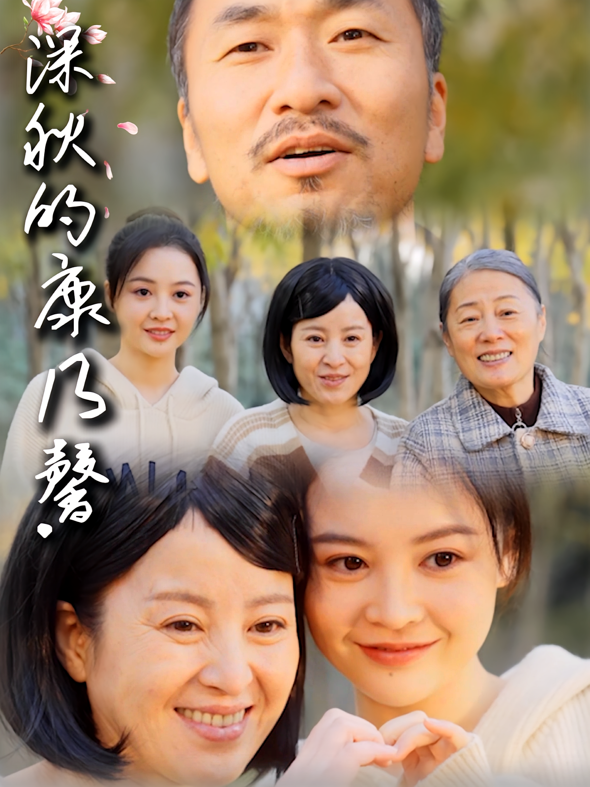 深秋的康乃馨