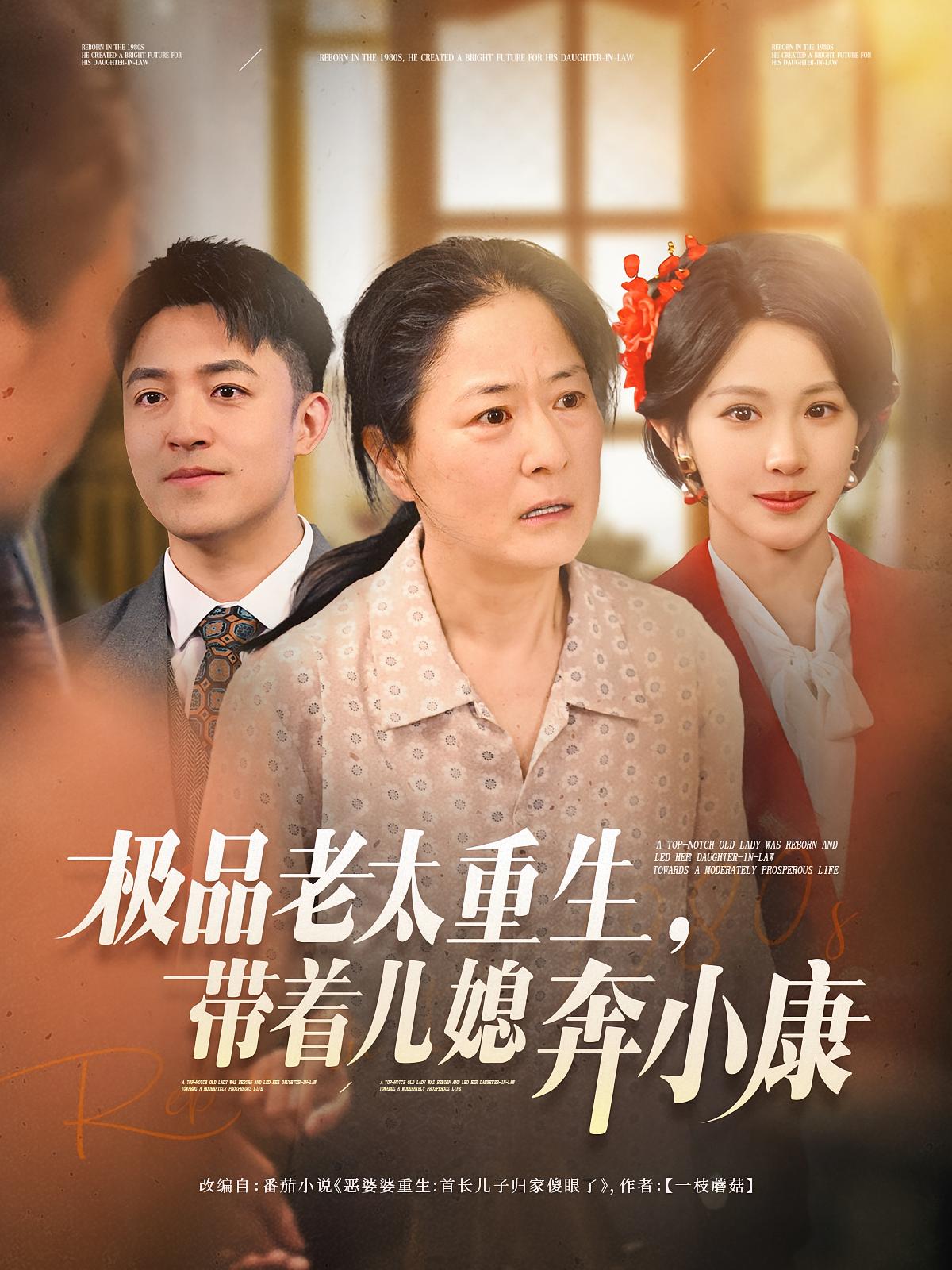 极品老太重生,带着儿媳奔小康