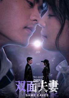 双面夫妻