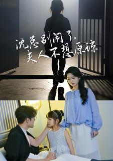 沈总别闹了,夫人不想原谅