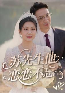 苏先生他恋恋不忘