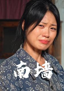 南墙