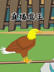 直播鹰王
