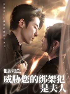 报告司总,威胁您的绑架犯是夫人