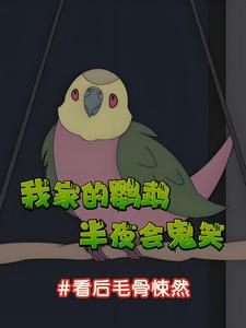 我家的鹦鹉半夜会鬼笑,看后毛骨悚然