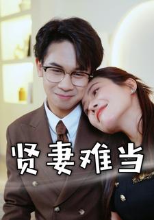 贤妻难当