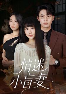 情迷小盲妻