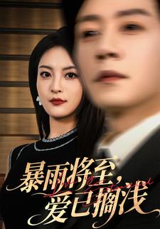 暴雨将至,爱已搁浅