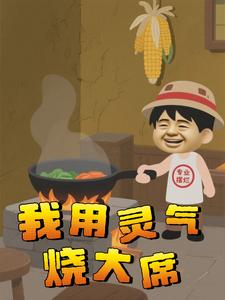 我用灵气烧大席