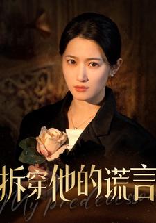 拆穿他的谎言