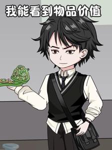我能看到物品价值