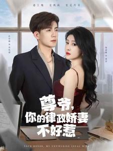 尊爷,你的律政娇妻不好惹