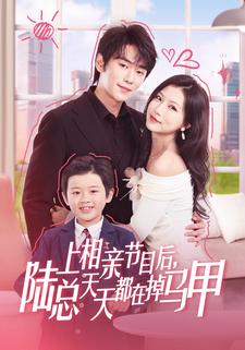 上相亲节目后,陆总天天都在掉马甲