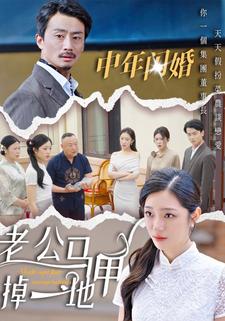 中年闪婚,老公马甲掉一地
