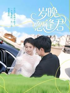 岁晚忽逢君