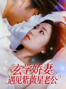 玄学娇妻,遇见紫薇星老公